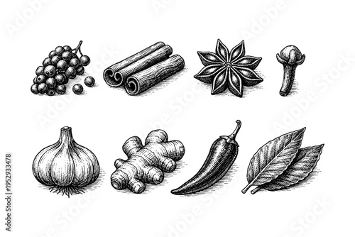 Collection of hand-drawn spices and aromatics in a vintage engraving style
