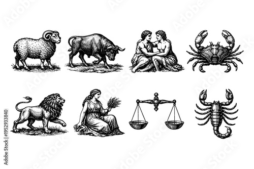 Collection of Zodiac symbols in vintage engraving style, a ram, bull, twins, crab, lion, maiden, scales, and scorpion