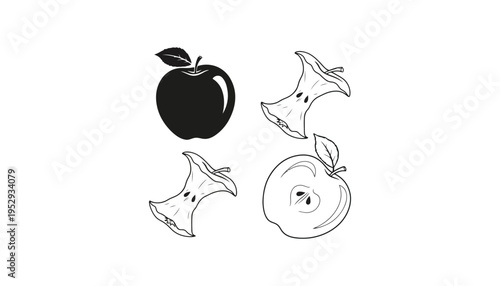 Apple vector illustration with black silhouette and line art slices