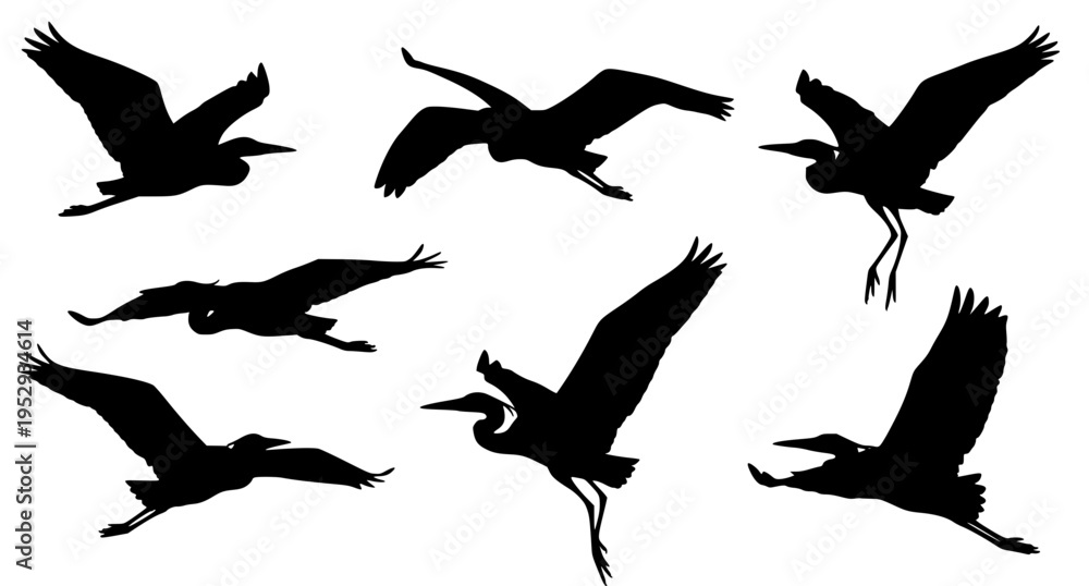 Obraz premium Flying Heron Silhouettes Pack Bird In Flight Vector Collection