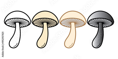 set of four stylized mushrooms illustration on white background