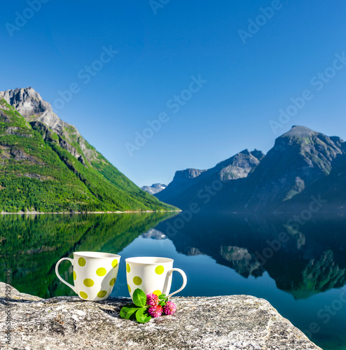Breakfast At a Fjord