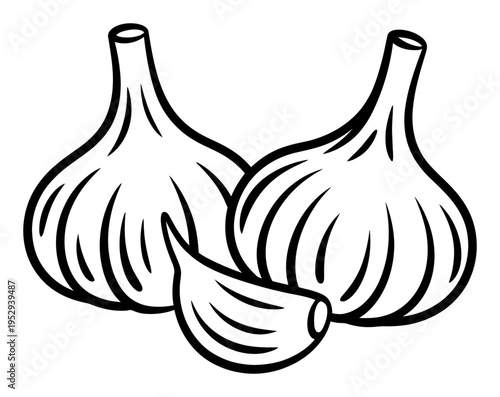 Garlic Bulbs Black Outline Vector Illustration
