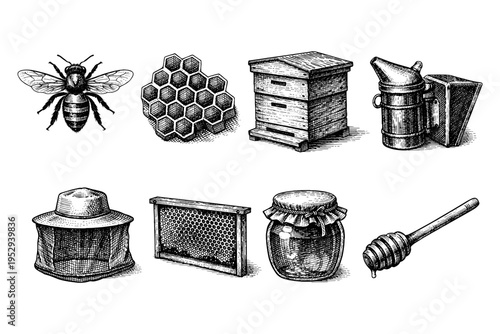 Vintage illustration of beekeeping tools and honey products, a collection of essential apiary items