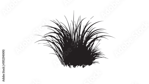 Black grass silhouette isolated on white background for nature and landscape design element garden vegetation graphic and organic plant shape