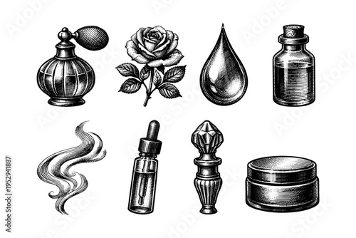 Vintage perfume bottles, rose, and cosmetic jars in a detailed engraving style