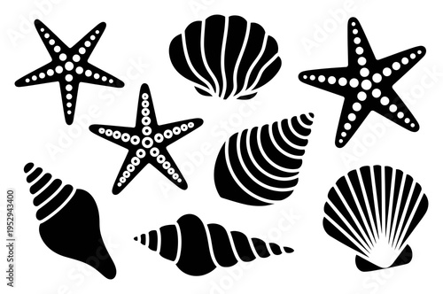 Black Sea Shells and Starfish Vector Illustration