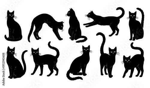 Hand drawn black cat silhouettes set in different poses Halloween vector illustration isolated on white background
