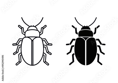 Two beetles are shown side by side in a simple line drawing style on white