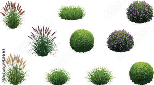 Set of ornamental garden plants and shrubs vector collection, green bushes, grasses and flowering plants isolated for landscaping and design use