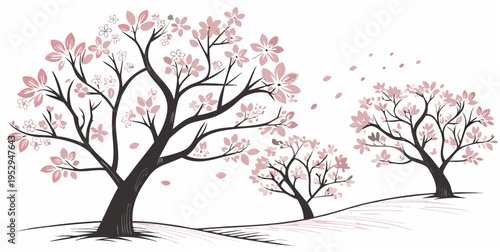 Cherry Blossoms in Full Bloom pink flowers trees blooming blossoming