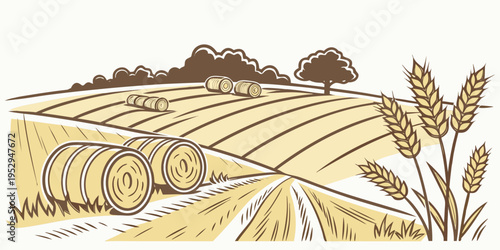 Harvested field with hay bales and wheat rural landscape agriculture