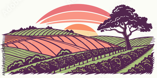 Colorful landscape with tree and vineyards at sunset rural countryside