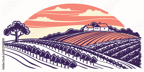 Houses on a hill with vineyards at sunset landscape rural