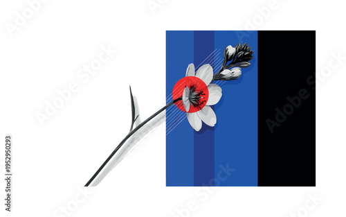 Black and white single stem flower placed diagonally across composition, bold blue vertical stripe dividing background, red circular accent overlapping the