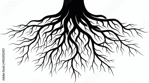 Black silhouette of tree roots isolated on white background, concept for nature conservation, environmental protection and botanical education