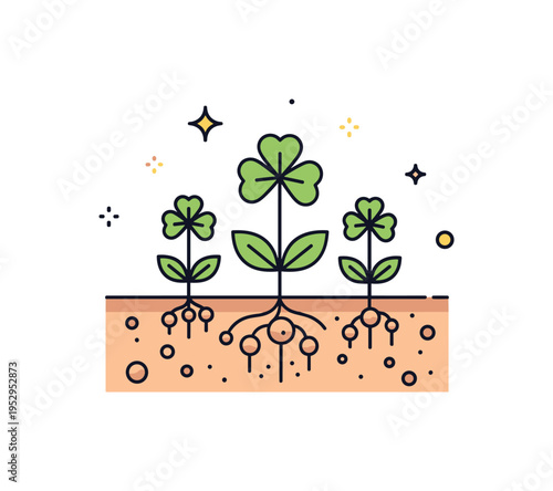 Legume cover crops and nitrogen fixation concept centered on clover like plants with small root nodules illustrated beneath the soil line, emphasizing natural