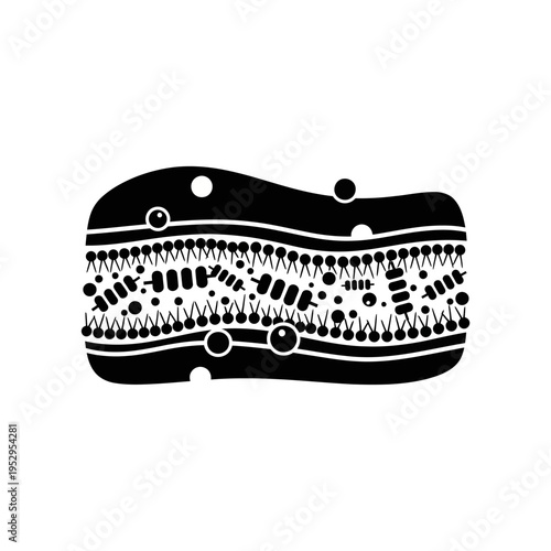 Cell Membrane Structure: Lipid Bilayer with Proteins and Molecules