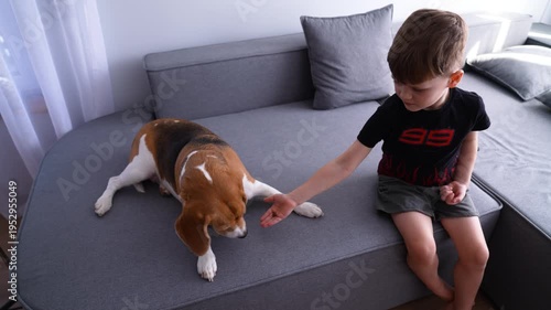 A child sits on the sofa with a Beagle dog, feeding it dry food.
