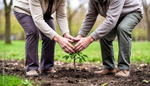 Two people work together to plant a young tree in the ground. They bend down and support the plant as they carefully place it in the soil.