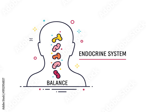 Endocrine system balance illustrating small gland symbols arranged vertically within a simplified body outline, accompanied by a subtle Balance label to
