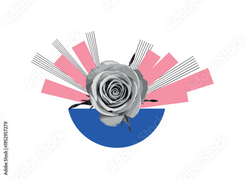 Black and white single rose opening viewed from above, bold cobalt blue semicircle framing the blossom, pink rectangular panels layered diagonally like