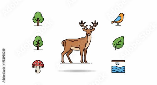 Brown Deer with Antlers Standing Alone.