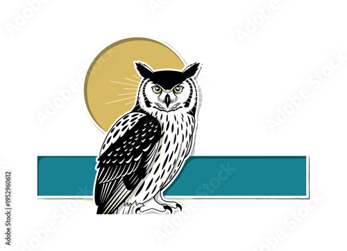 Realistic black and white owl perched facing forward, oversized muted yellow circle halo behind the head, bold teal rectangular block anchoring the base, thin