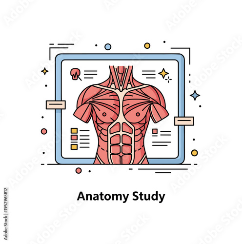 Muscle structure healthcare visualization scene with a compact anatomical torso icon displayed on a minimal medical panel frame, symbolizing clinical analysis