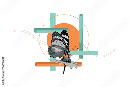 Monochrome side view of butterfly wings partially open on a flower center, high-contrast vintage feel, intersected by sharp abstract rectangles and cylindrical