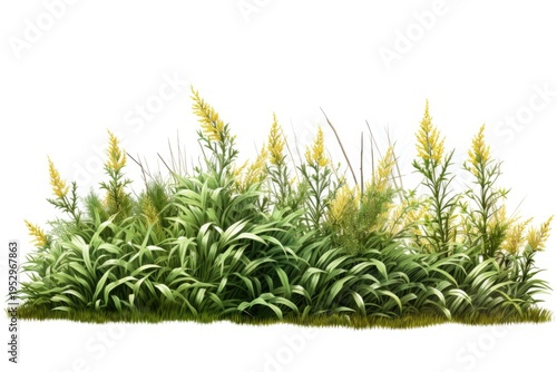 A bunch of green grass with yellow flowers. Perfect for adding a touch of nature to any project