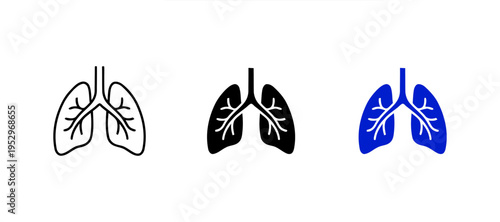 lungs