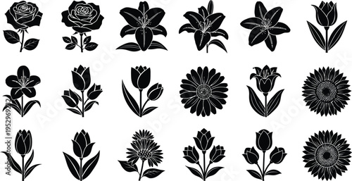 Black silhouette floral collection of roses lilies tulips and sunflowers lily