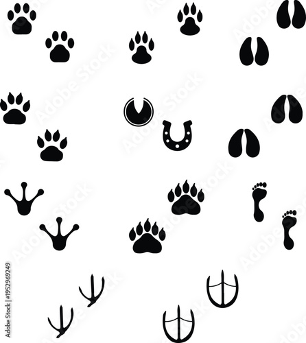 Collection of various animal footprints and hoof prints on white background