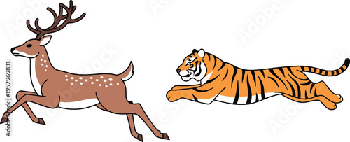 Deer and Tiger Cartoon Illustration — Predator Prey Wildlife Animal Behavior Ecology Biology and Nature Theme Artwork for Stock Art Success