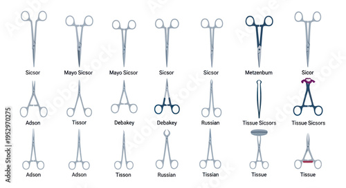 Collection of Surgical Instruments: Various Medical Clamps and Scissors.