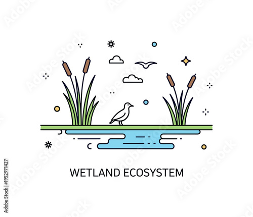 Ecosystem diversity wetland balance illustration with a minimal waterline, reed plants, and a small bird silhouette, symbolizing rich habitats and