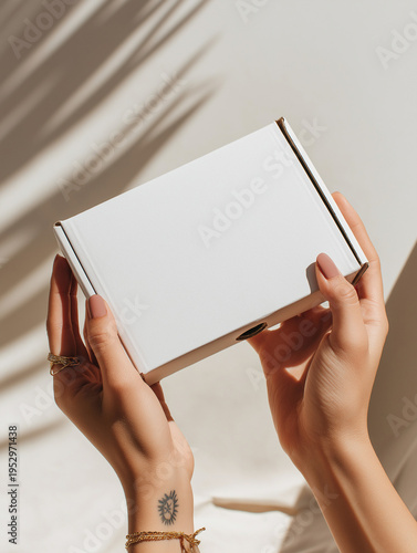 hands holding blank box mockup