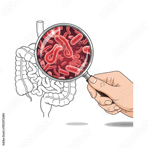 Illustration of a magnified view of intestinal flora inside the human digestive system