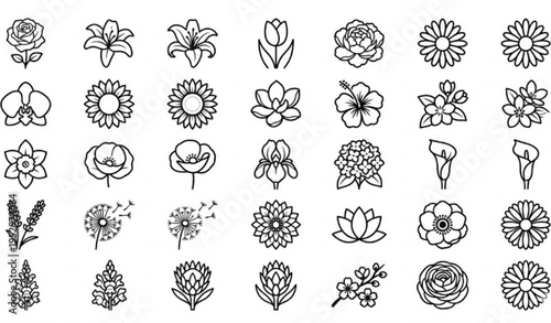 Premium Floral Line Icons Collection Editable Flower Symbols for Mobile and Web Design