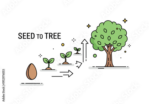 Seed to tree growth journey showing a single seed at the base transitioning upward through small sprout and sapling stages into a full leafy tree, expressing