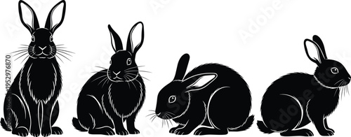 Rabbit silhouette illustration set, progressive posture artwork, stylized animal design, vector fur detail graphic, crouch sit concept for comparison