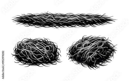 Algae bloom filamentous algae bundle depicted from elongated side view, compressed tangled view, and angled three-quarter view as one cohesive floating mass.