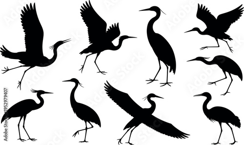 Set of heron bird silhouettes isolated on white background featuring elegant wading birds in various poses for wildlife design projects