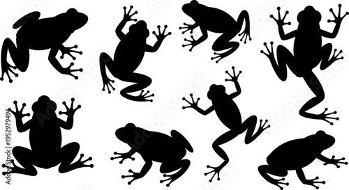 Set of frog silhouettes isolated on white background, amphibian poses collection, wildlife animal vector illustration for nature, biology, and design projects