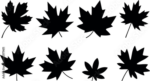 Collection of black maple leaf silhouettes isolated on white background, autumn foliage shapes set, botanical vector style illustration for seasonal design use