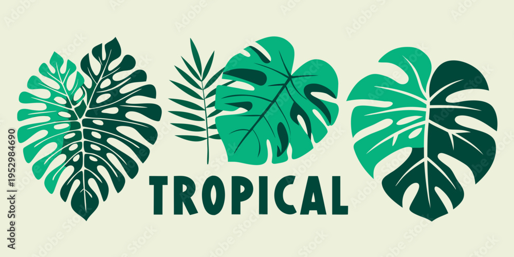 Obraz premium Green monstera and palm leaves with tropical text, vector