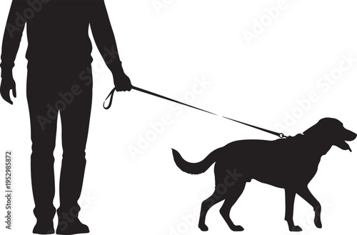 Silhouette of a person walking a dog on a leash