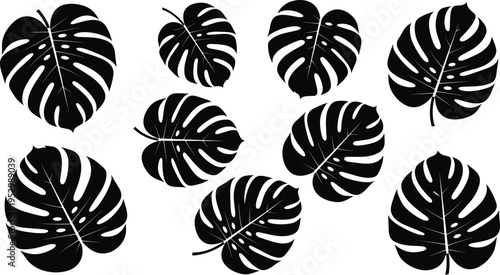 Tropical Monstera Leaf Silhouette Set with Exotic Jungle Foliage Shapes, Minimal Botanical Vector Illustrations for Summer Design, Interior Decor, and Nature Inspired Graphics