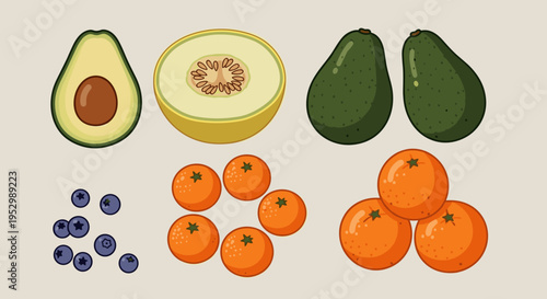 A colorful illustration featuring fresh fruits including avocados, melons, blueberries, and mandarins in a modern flat style